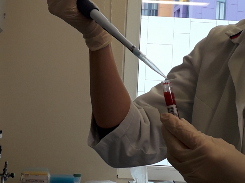 Пятый этап исследований коллективного иммунитета стартовал в Петербурге