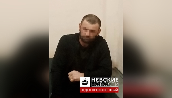 Подозреваемого в избиении школьника в Московском районе отправили в СИЗО