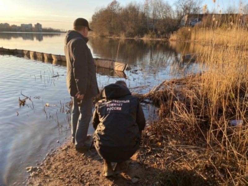 Прокуратура следит за проверкой по загрязнению бухты «Радуга» в Ленобласти