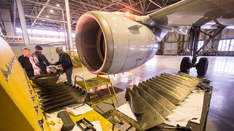 Птица попала в двигатель взлетающего самолета в Пулково