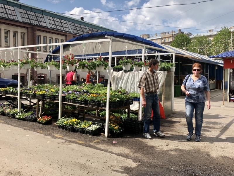 Работники Сытного рынка отреагировали на новость о реконструкции