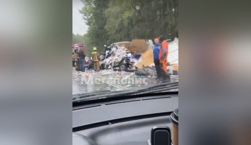 «Разорвало в клочья»: водитель микроавтобуса погиб в ДТП в Ленобласти