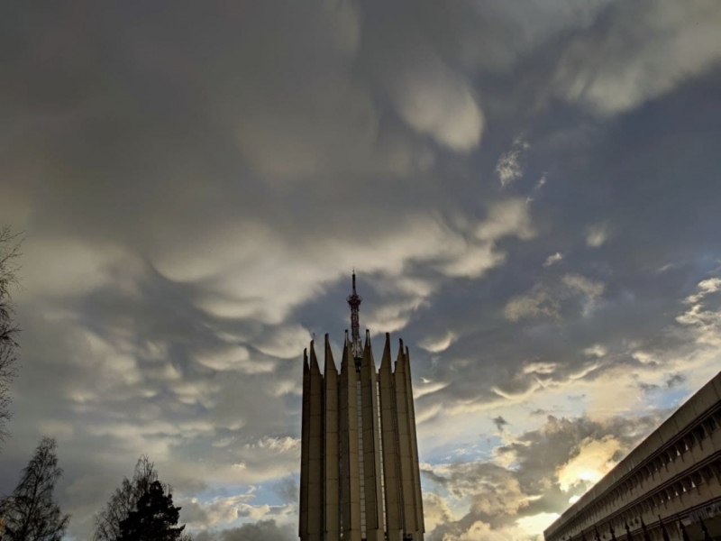 Редкие тропические облака заметили в небе петербуржцы