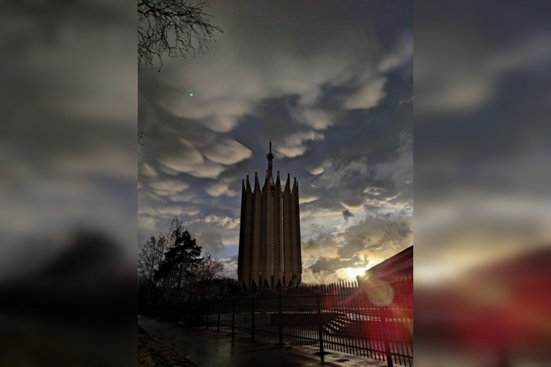 Редкие тропические облака заметили в небе петербуржцы