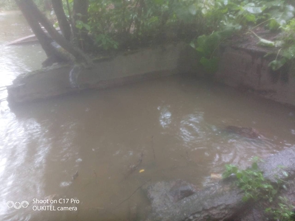 Региональный Росприроднадзор в Сети возмутился сбросу отходов в Оккервиль