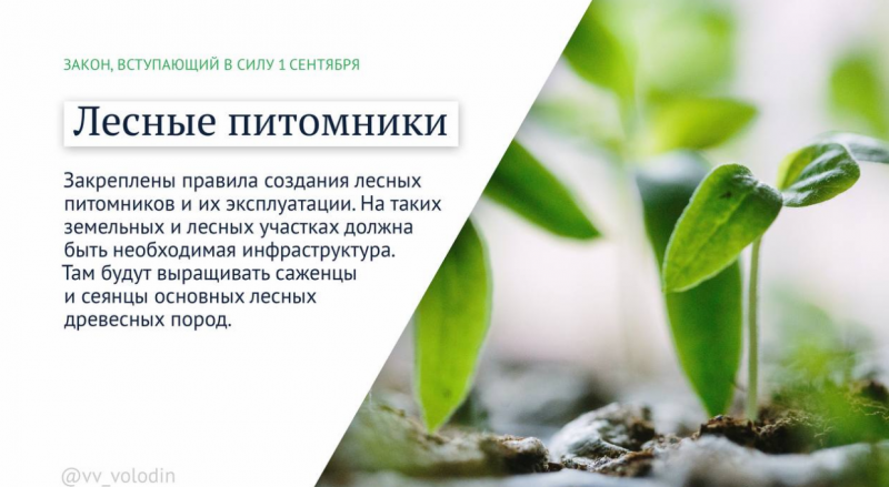 Россиянам напомнили о вступающих в силу законах в сентябре