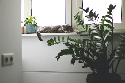 Россиянам предложили квартиры в мегаполисах по цене до миллиона рублей