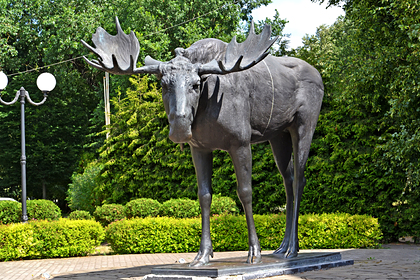 Россиянин предложил поставить памятник убитому Рашкиным лосю