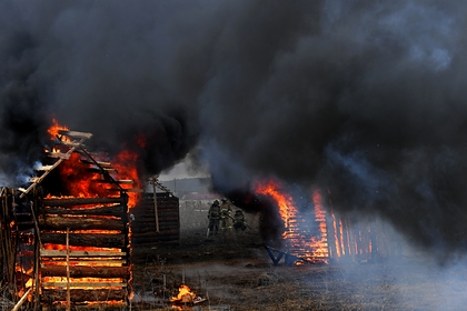 Россиянин случайно уничтожил шесть десятков дач