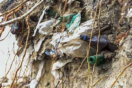 Российские ученые нашли способ спасти мир от пластика