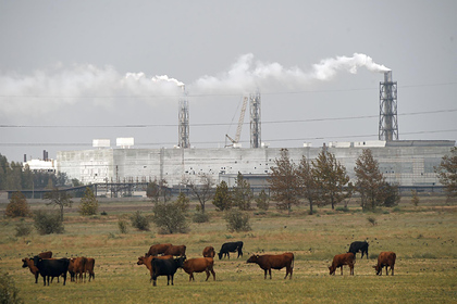 Российским регионам раздадут миллиарды рублей на борьбу с загрязнением воздуха