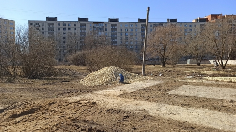 «Само не решится»: десятки жителей Купчино провели народный сход против застройки