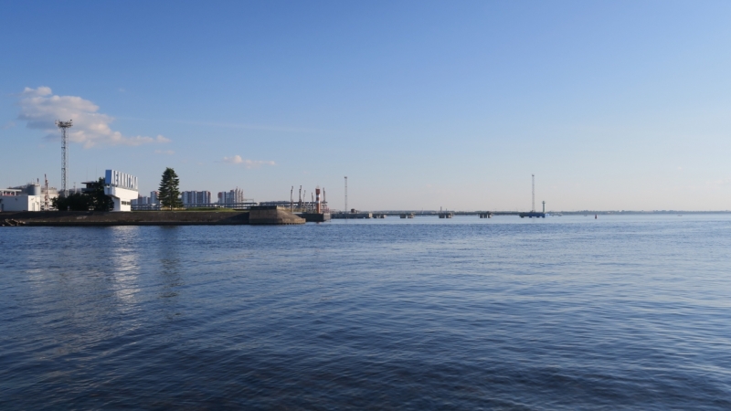 Сгнившее тело мужчины нашли на пляже за Морским портом в Петербурге