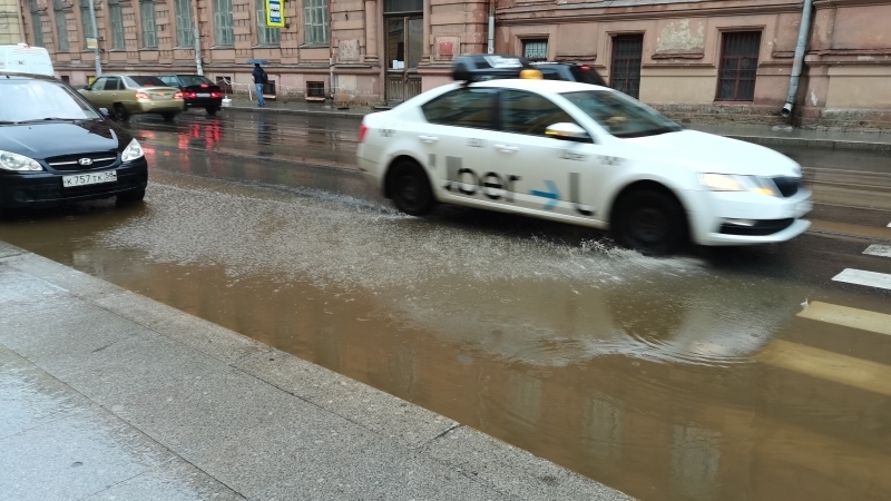 Штормовой ветер повалил деревья на машины, улицы и тротуары в Петербурге