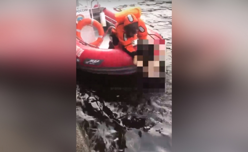 Сотрудники МЧС спасли тонущего в Мойке купальщика