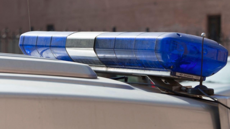 Спасатели Ленобласти выловили тело пропавшего местного жителя