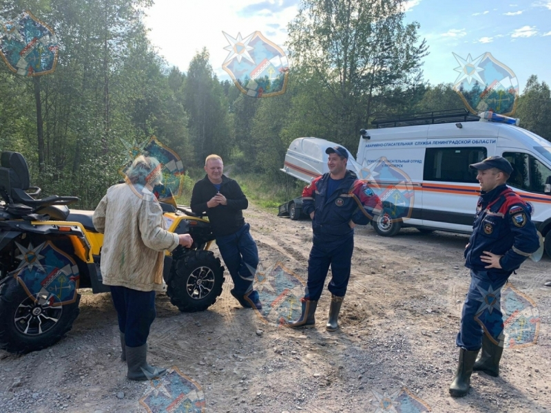 Спасатели помогли выбраться из леса жительнице Ленобласти