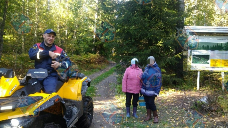 Спасатели за день вывели из леса шесть человек в Ленобласти