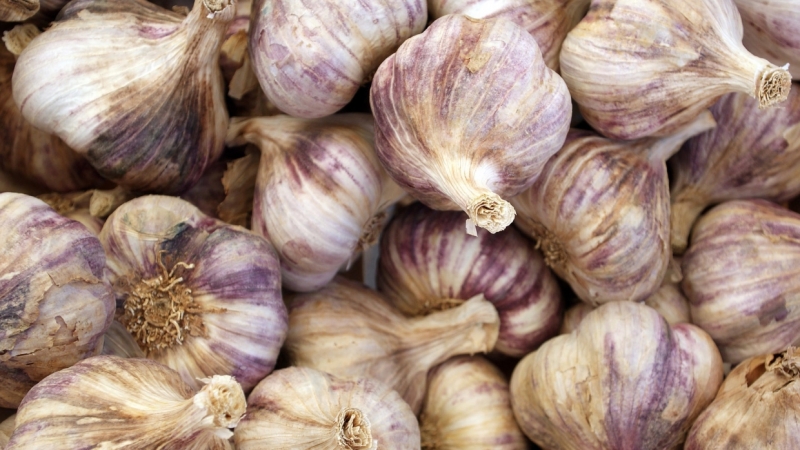 Срочно исключите из рациона: ученые раскрыли три тревожных симптома после употребления чеснока