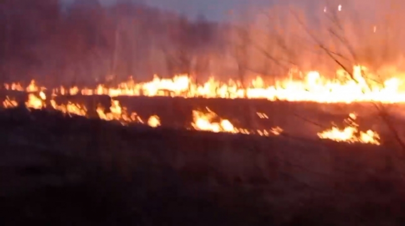 Сухая трава вспыхнула у храма Серафима Саровского в Ленобласти