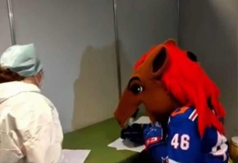 Талисман хоккейного клуба СКА Конь-Огонь получил прививку от КОВИД