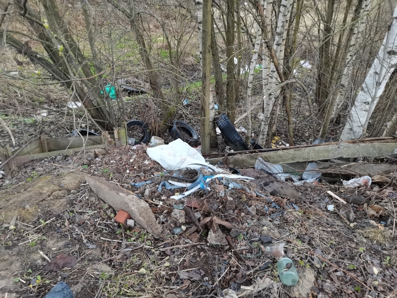 Тютчевская улица и Пороховское кладбище тонут в грязи из-за нехватки мусорных баков