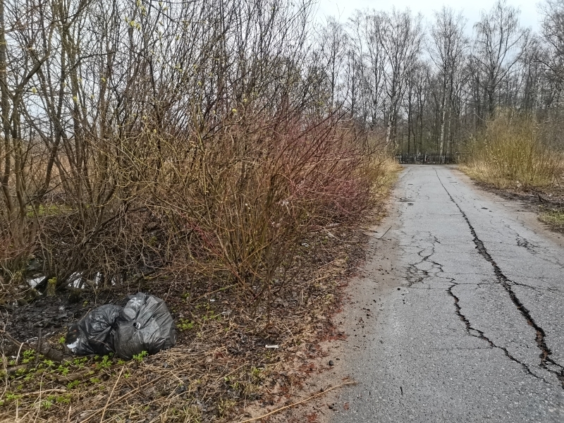 Тютчевская улица и Пороховское кладбище тонут в грязи из-за нехватки мусорных баков