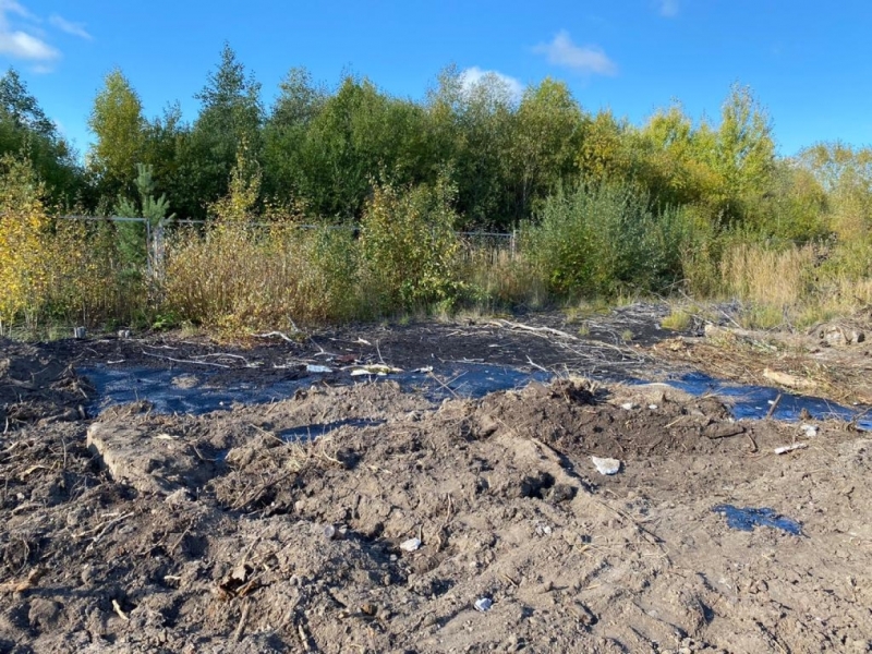 Транспортная прокуратура выясняет причины разлива нефти в Ленобласти