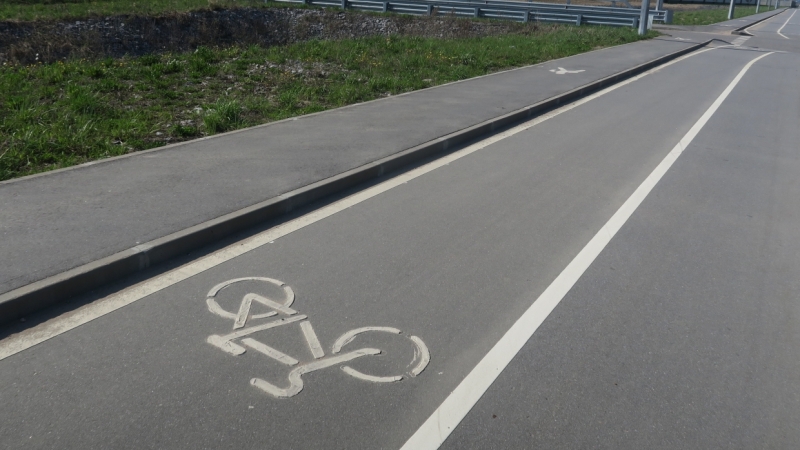 У Репино вдоль Финского залива сделают велодорожку