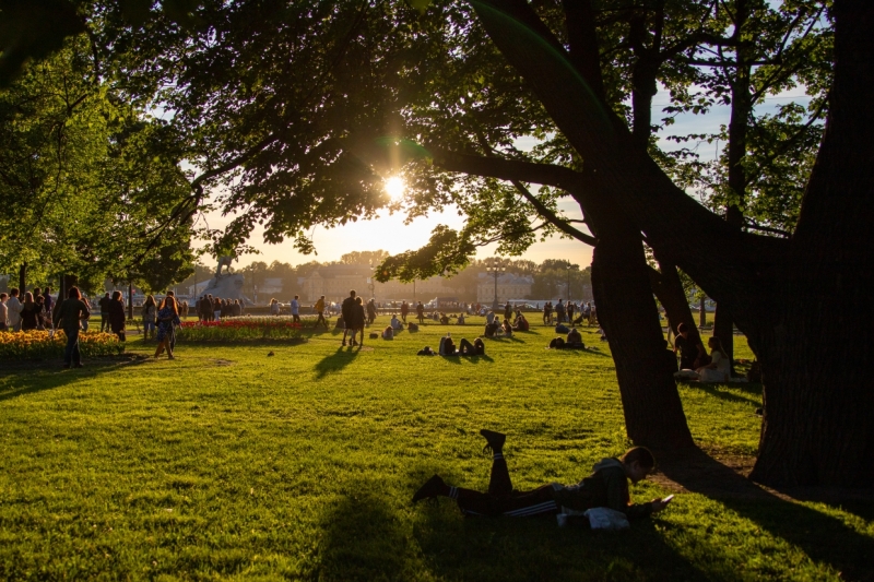 В МЧС рассказали о погоде в Петербурге в пятницу