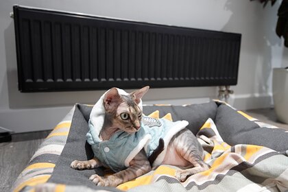 В Москве начался отопительный сезон