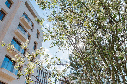 В Москве нашли пять супердорогих пентхаусов