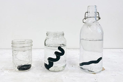 В США станут фильтровать воду мусором