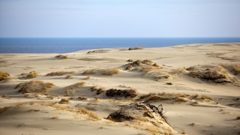 «Вчера сама плавала»: в Сети бурно обсуждают запрет на купание в водоемах Петербурга