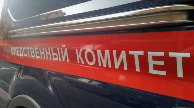 Во Всеволожском районе женщину заподозрили в жестоком убийстве сожителя