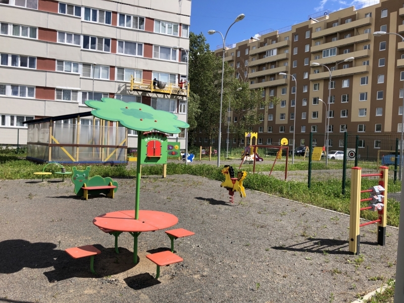 Волонтеры «Лиза Алерт» начали поиск десятилетнего мальчика из Шушар