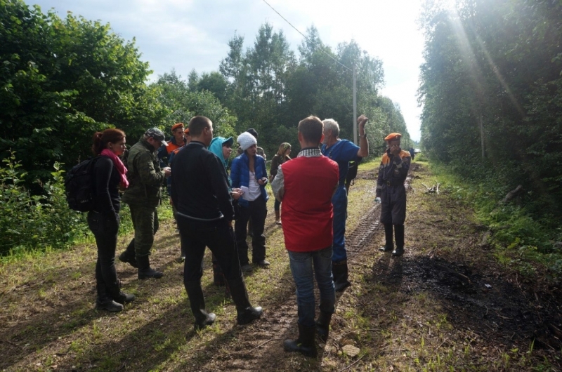 Волонтеры «Лизы Алерт» в Петербурге и Ленобласти нашли живыми более 200 человек