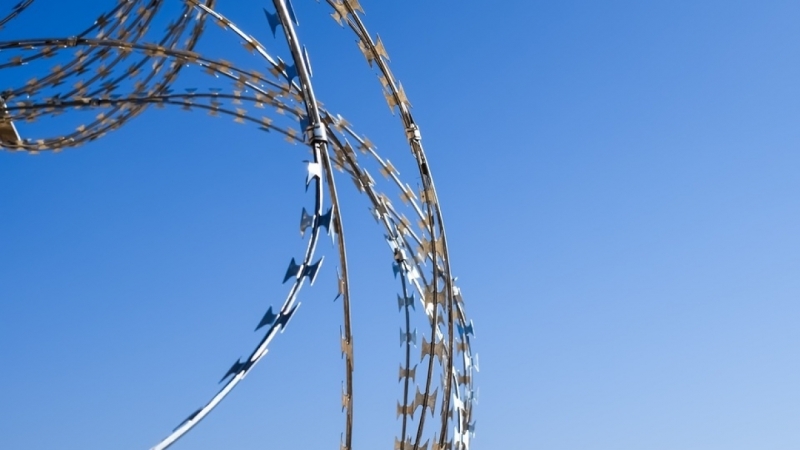 Волонтеры спасли псковича из рабства Wildberries