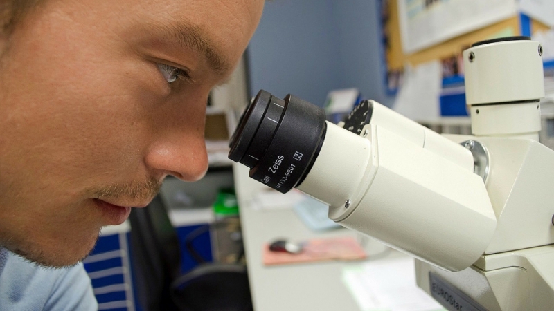 Врач назвал «ерундой» сообщение о распространении тяжелой половой инфекции