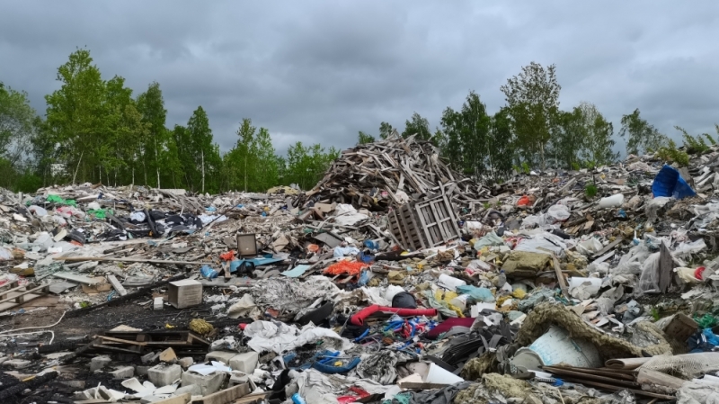 Всеволожская прокуратура проверит инцидент с пожаром на муринской свалке