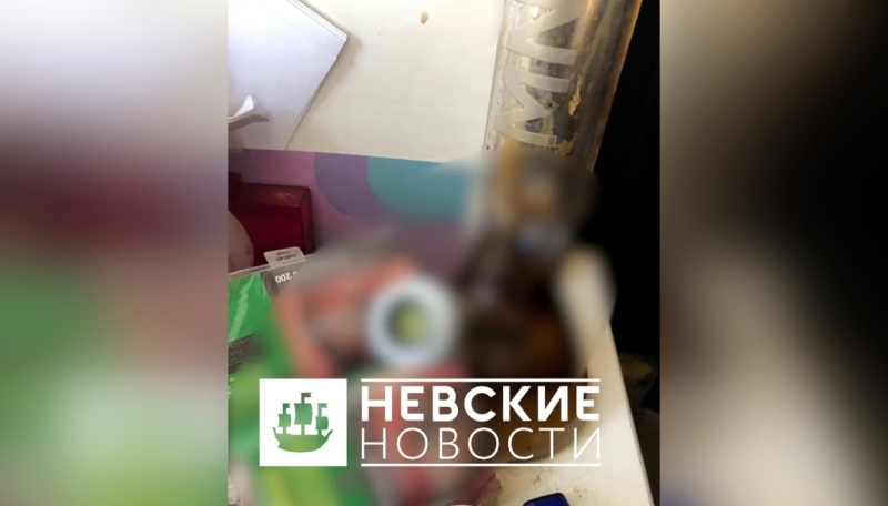 Задержанного в «нехорошей квартире» Ивана Дорофеева взяли под стражу