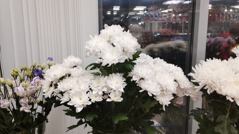 Заоблачные цифры: на сколько цены на цветы в Петербурге взлетели перед 1 Сентября