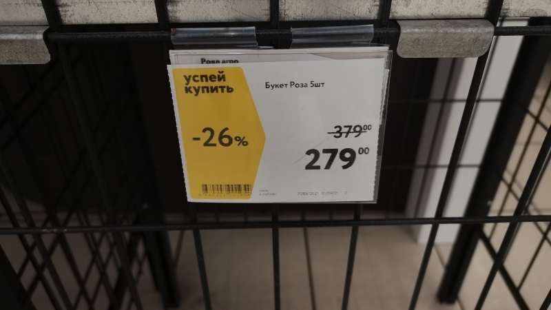 Заоблачные цифры: на сколько цены на цветы в Петербурге взлетели перед 1 Сентября