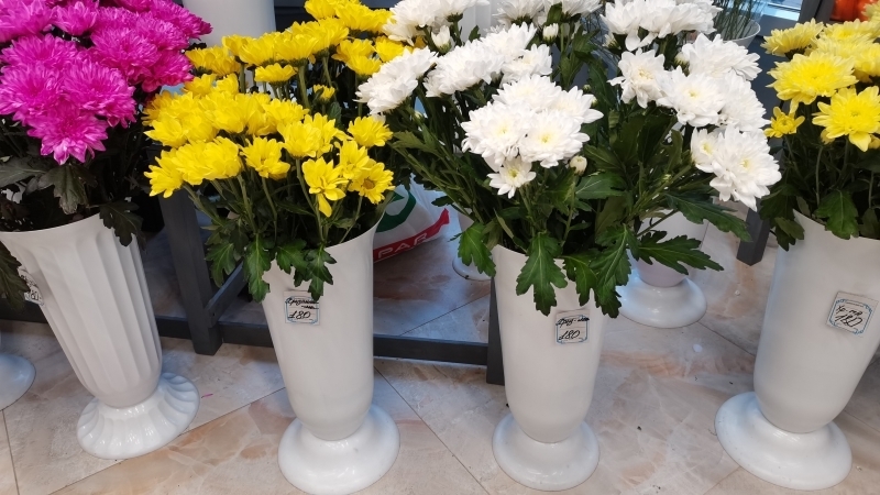 Заоблачные цифры: на сколько цены на цветы в Петербурге взлетели перед 1 Сентября