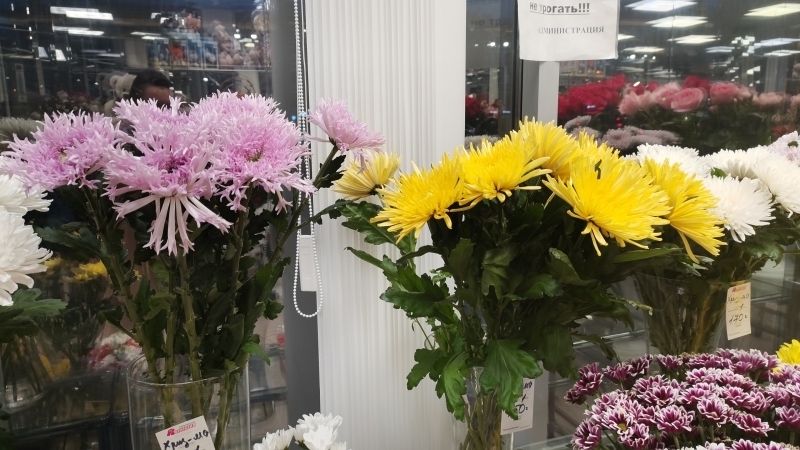 Заоблачные цифры: на сколько цены на цветы в Петербурге взлетели перед 1 Сентября