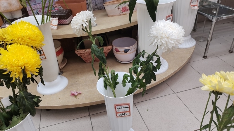 Заоблачные цифры: на сколько цены на цветы в Петербурге взлетели перед 1 Сентября