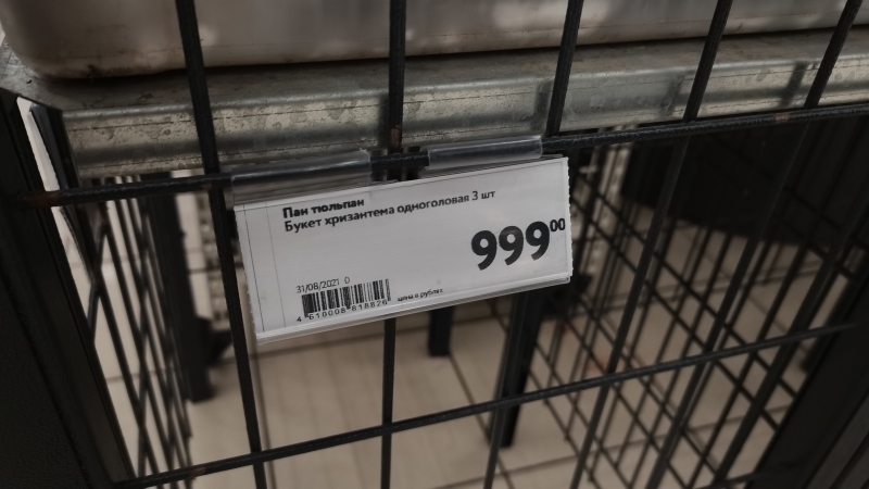 Заоблачные цифры: на сколько цены на цветы в Петербурге взлетели перед 1 Сентября