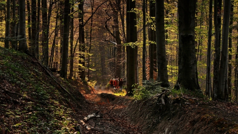 Затерявшаяся в лесах Сибири экспедиция вышла на связь