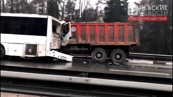 Затор в семь километров образовался из-за массового ДТП под Петербургом