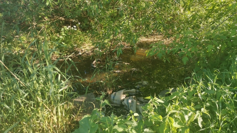 «Жить мешает»: жильцы дома на Октябрьской набережной устали от вони из реки со стоками